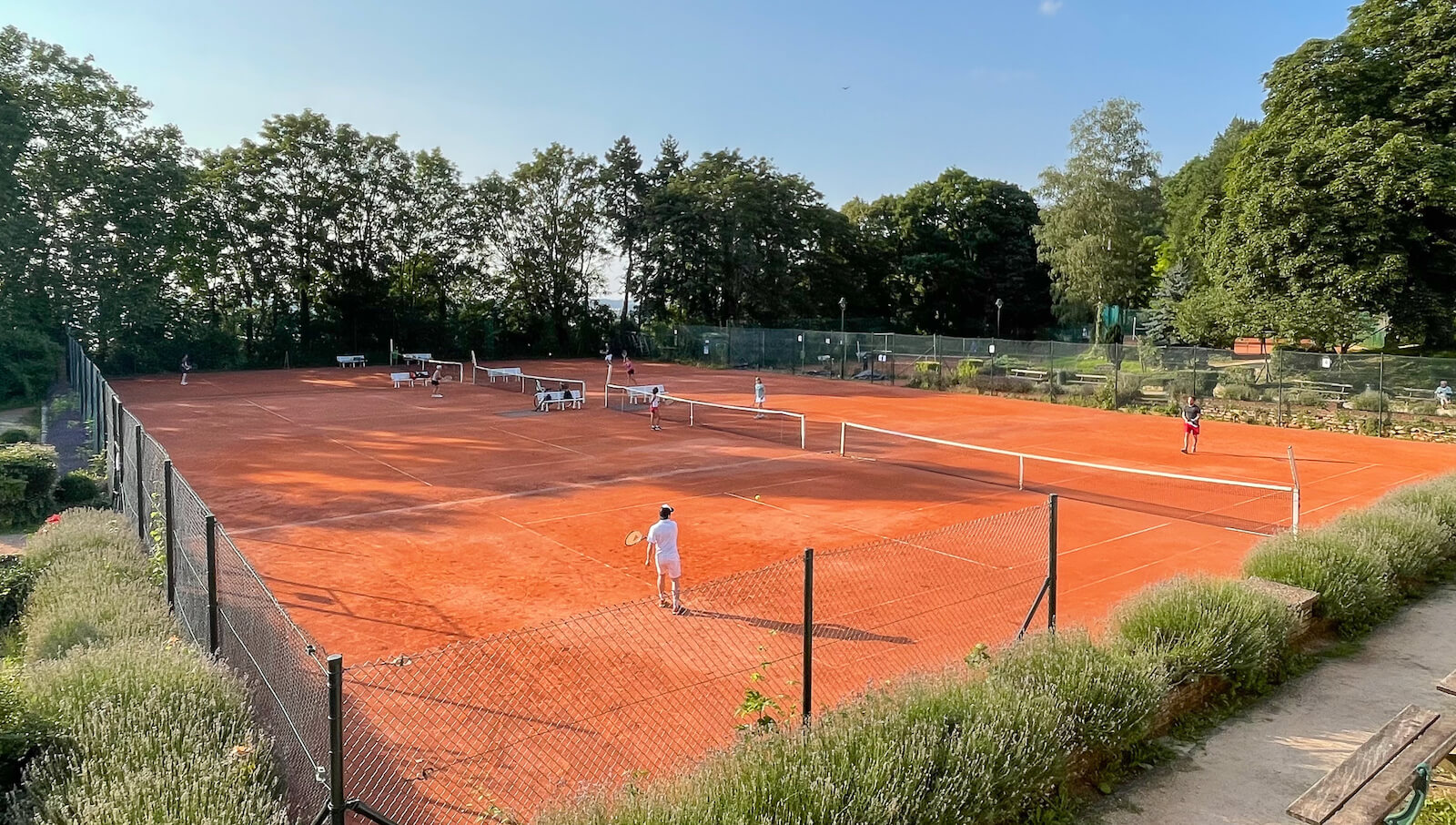 Terrains de tennis du tennis-club le Domaine